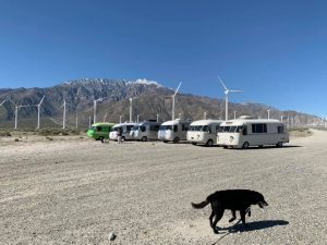 Western Rally wind machines and a dog